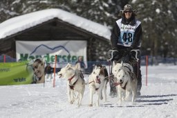 Kandersteg 2013